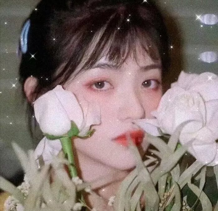 何处能容我